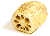 旬の食材　れんこん