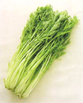 旬の食材【水菜】について