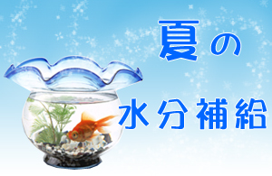 栄養教室『夏の水分供給』