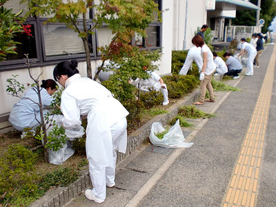 病院敷地周辺の草刈を行いました