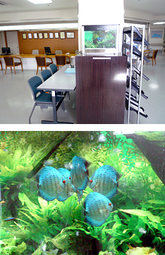 バーチャル熱帯魚モニター設置